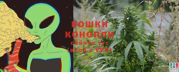 индика Лиски