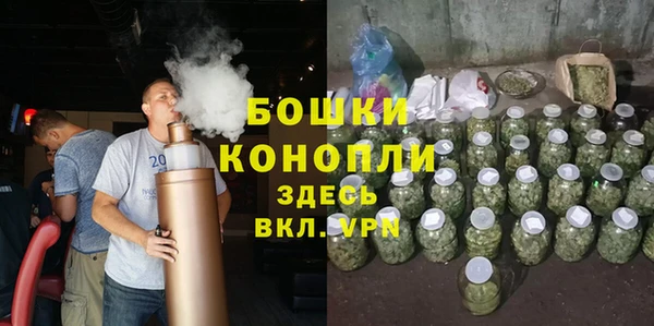 индика Лиски