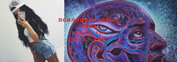 индика Лиски