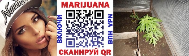 даркнет сайт  Первомайск  Бошки марихуана конопля 